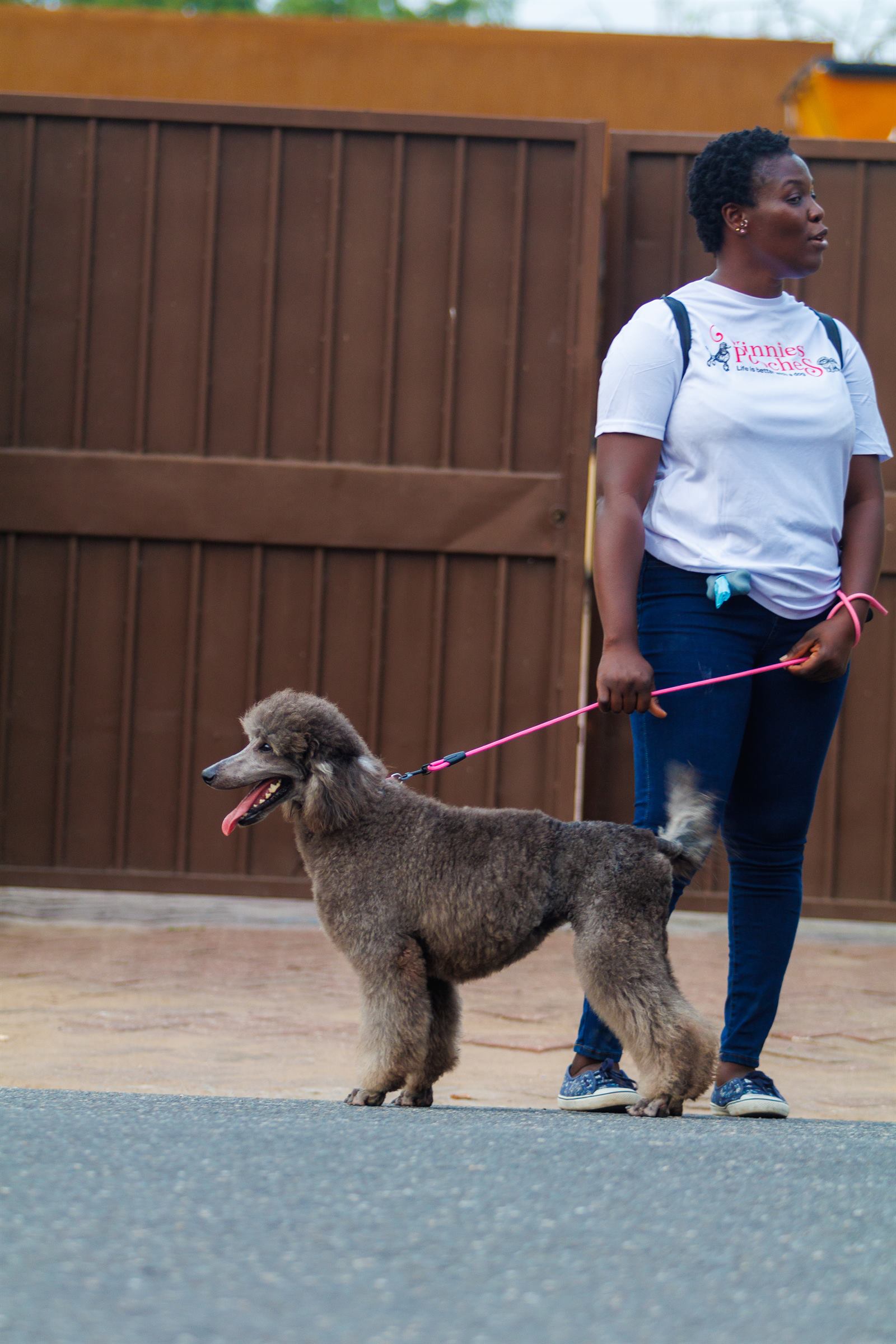 AAK Pet Shop gallery photo 4