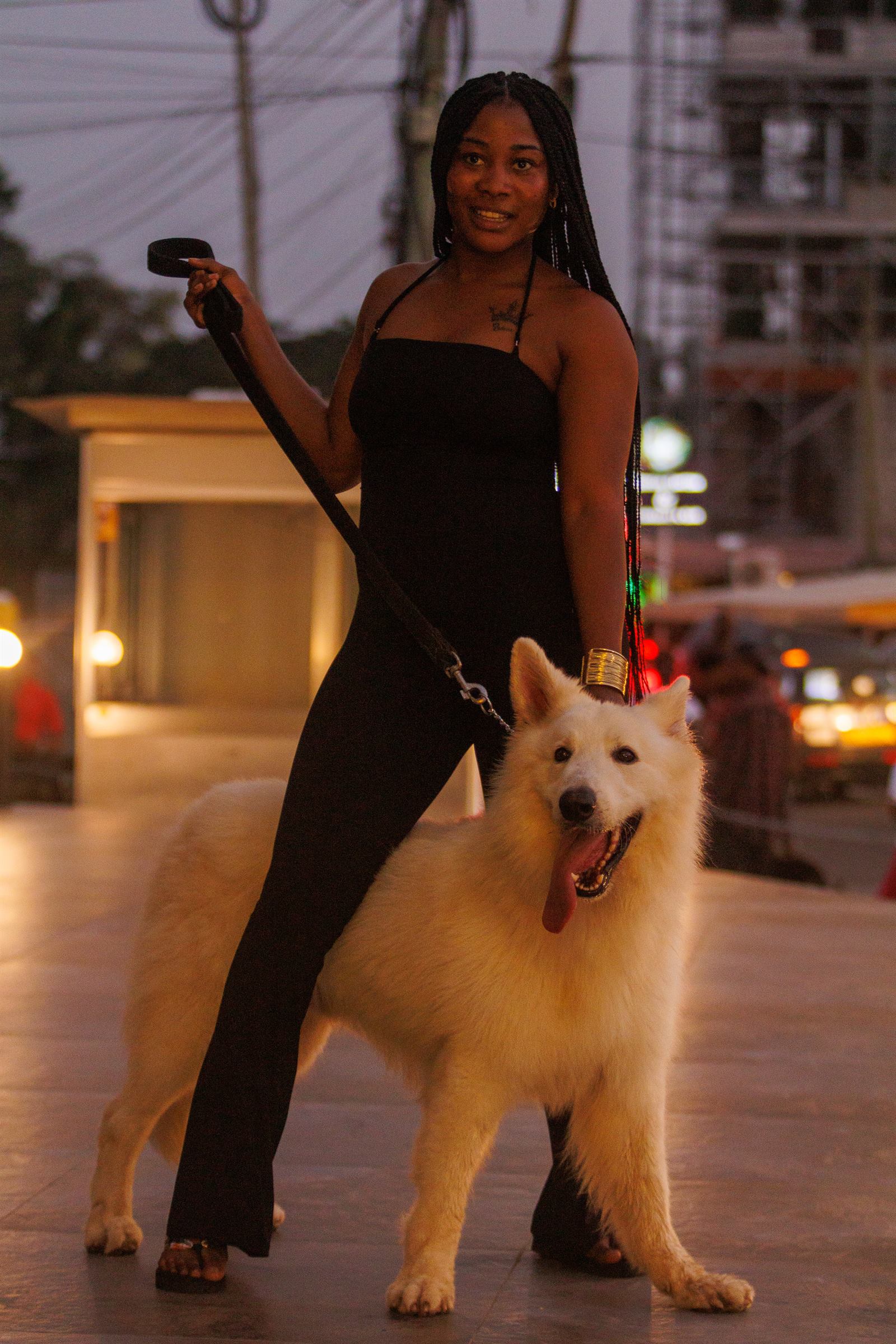 AAK Pet Shop gallery photo 20