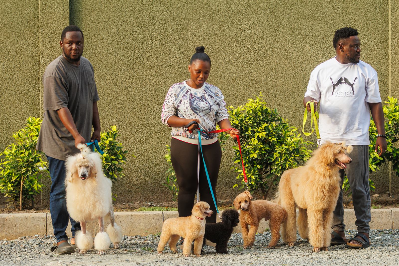 AAK Pet Shop gallery photo 32