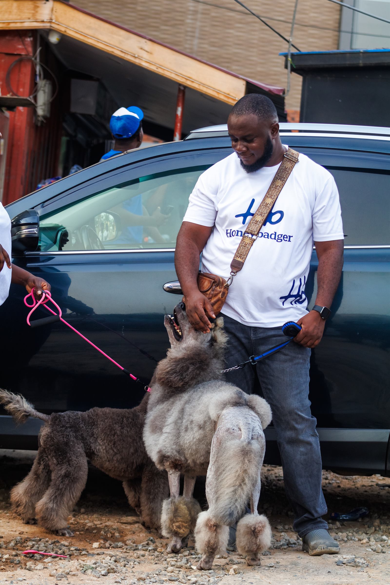 AAK Pet Shop gallery photo 41