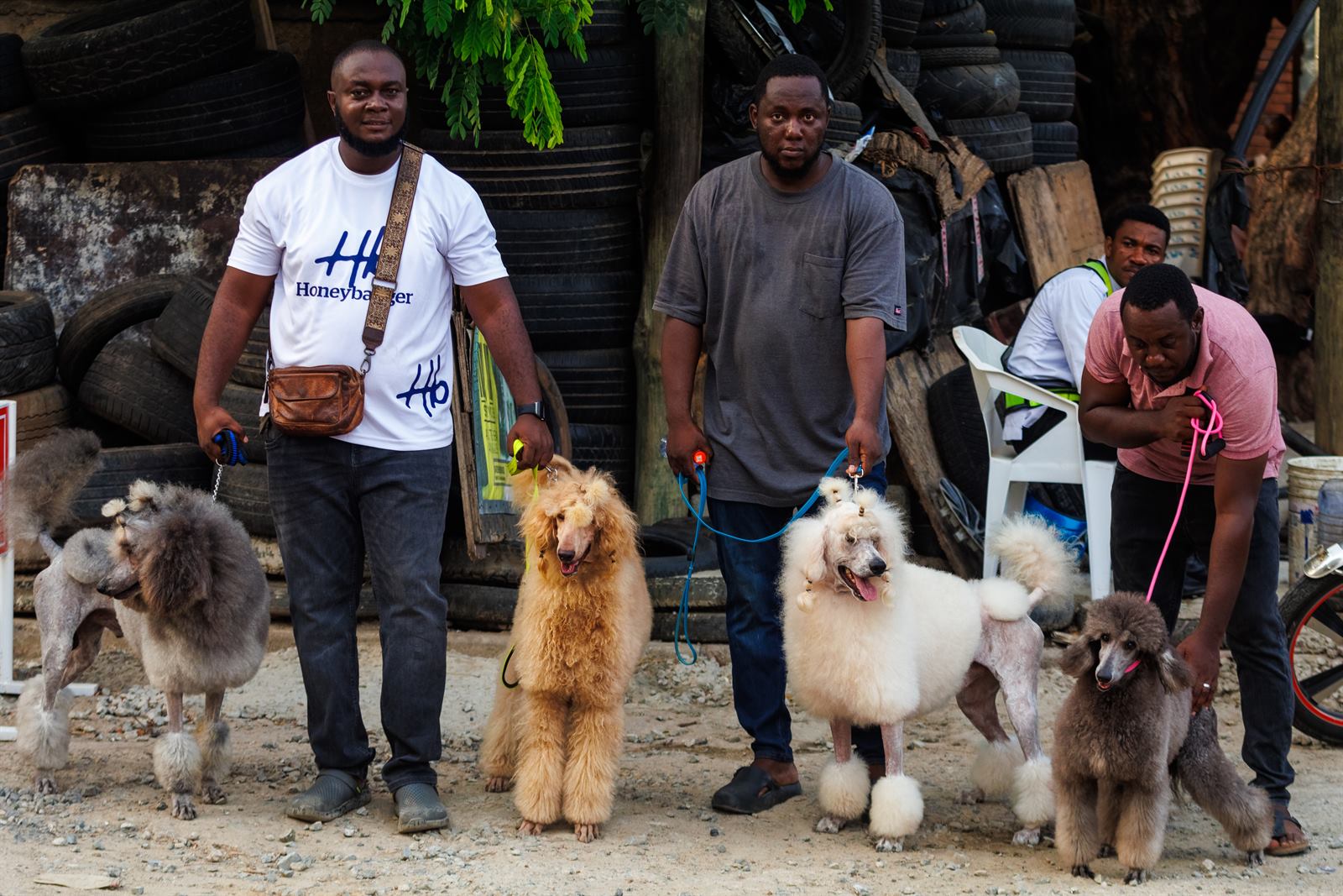 AAK Pet Shop gallery photo 44
