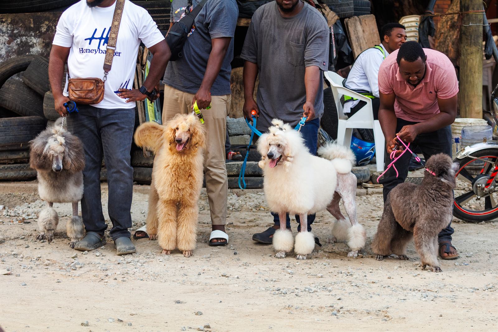 AAK Pet Shop gallery photo 45