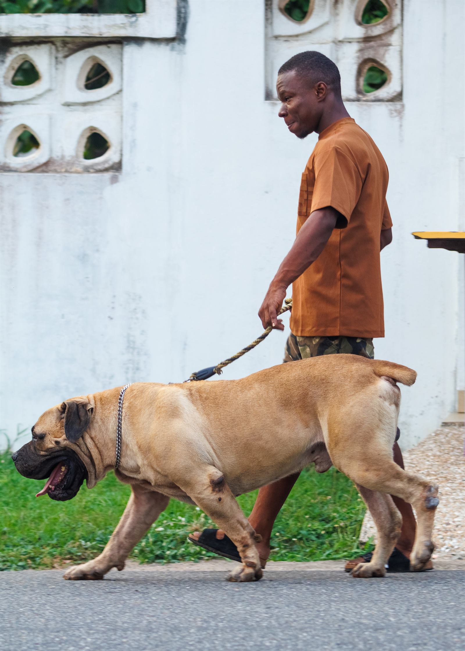 AAK Pet Shop gallery photo 59