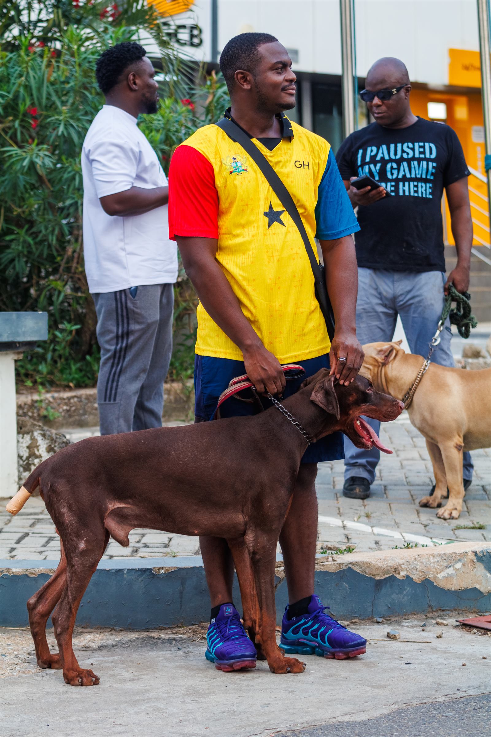 AAK Pet Shop gallery photo 89