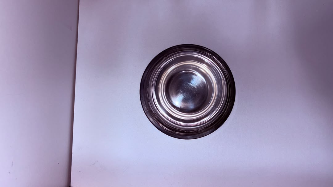 Stainless Steel Pet Feeding Bowl 26cm