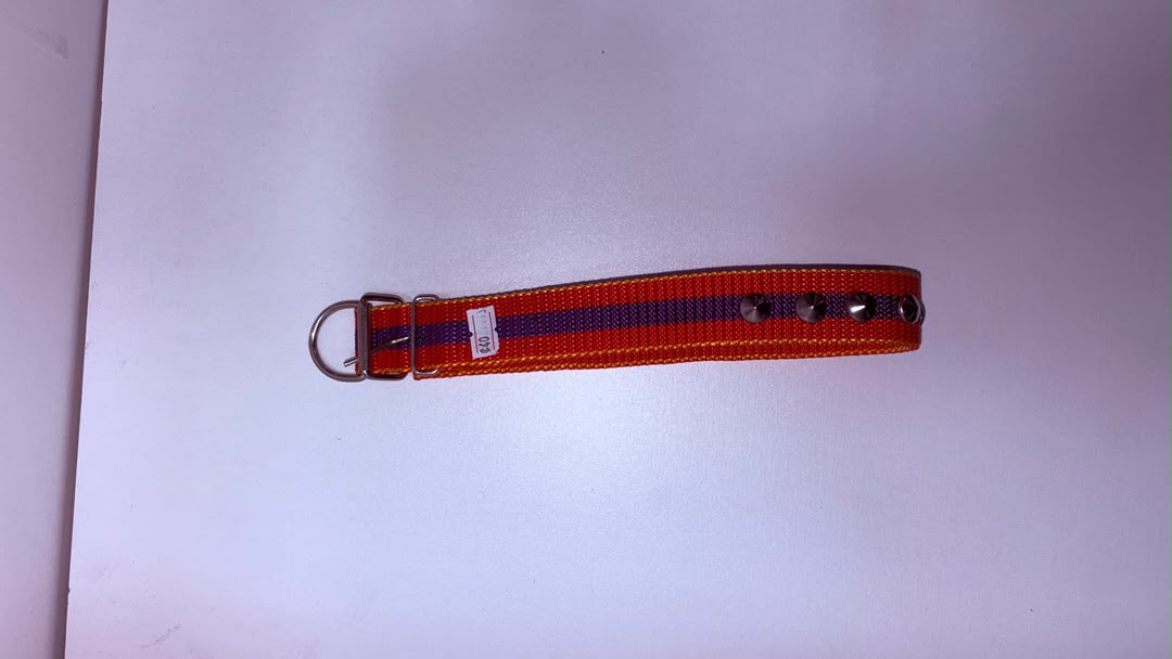 Orange &amp; Purple Striped Nylon Dog Collar with Metal Studs